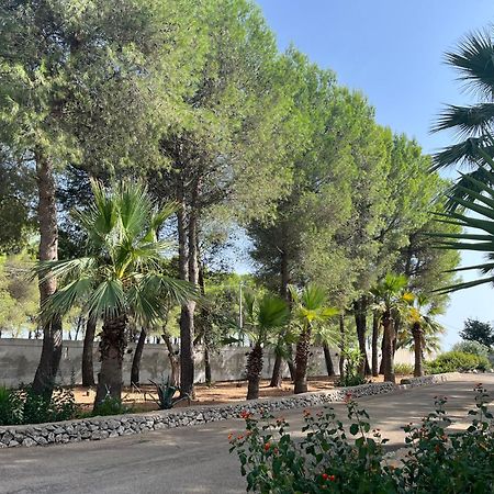 Casette Masseria La Camardia Sava ภายนอก รูปภาพ