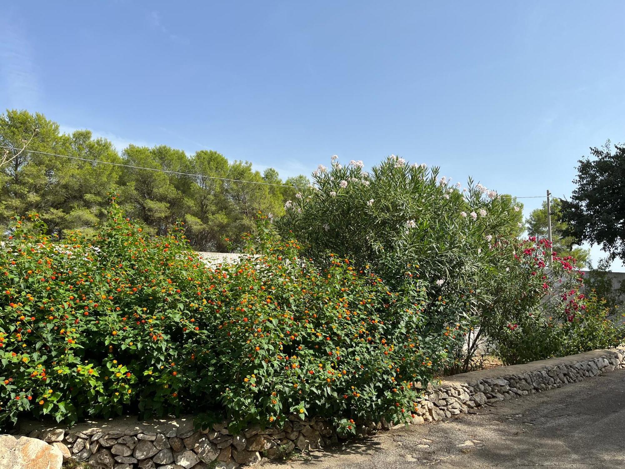 Casette Masseria La Camardia Sava ภายนอก รูปภาพ