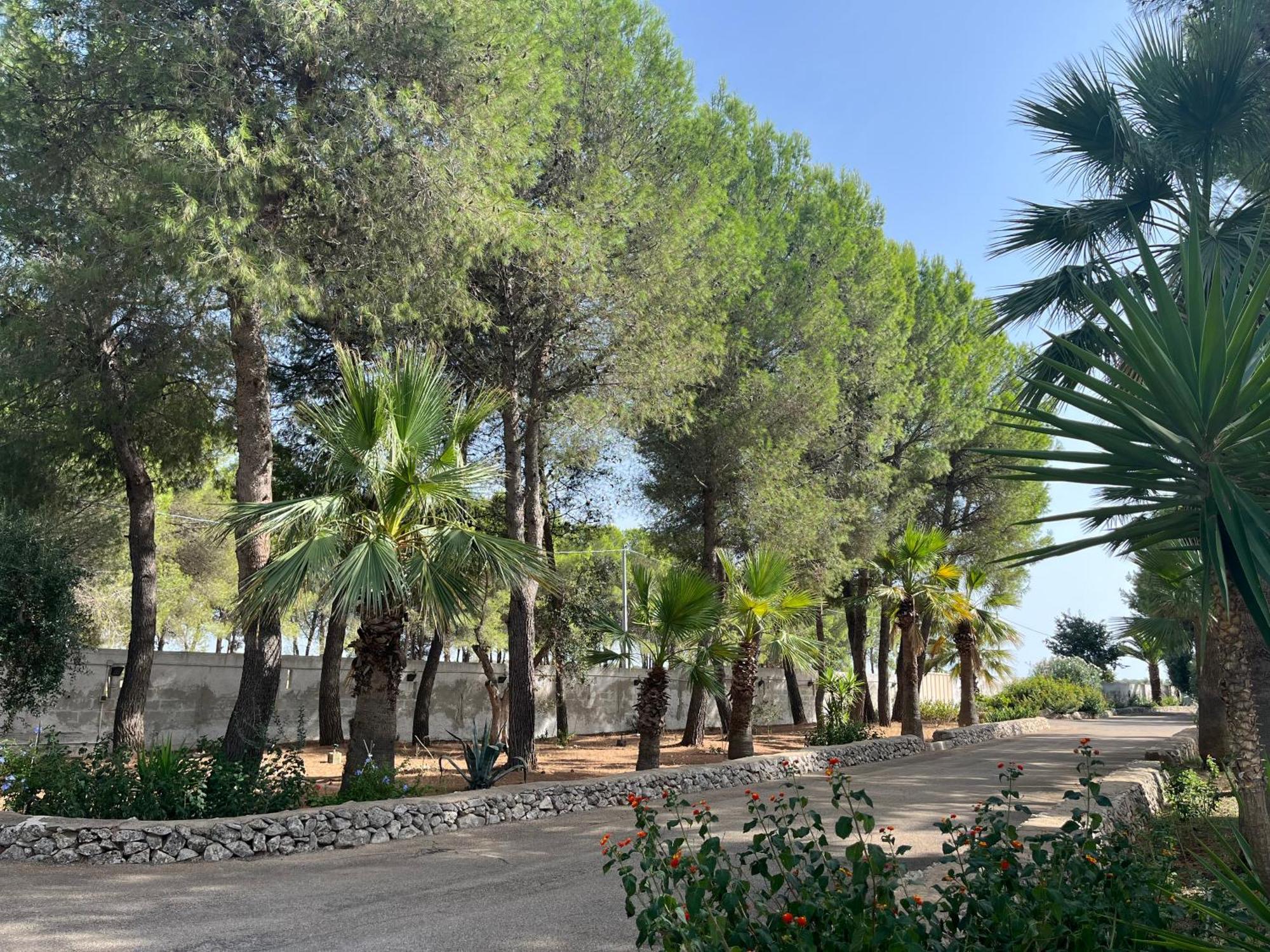 Casette Masseria La Camardia Sava ภายนอก รูปภาพ