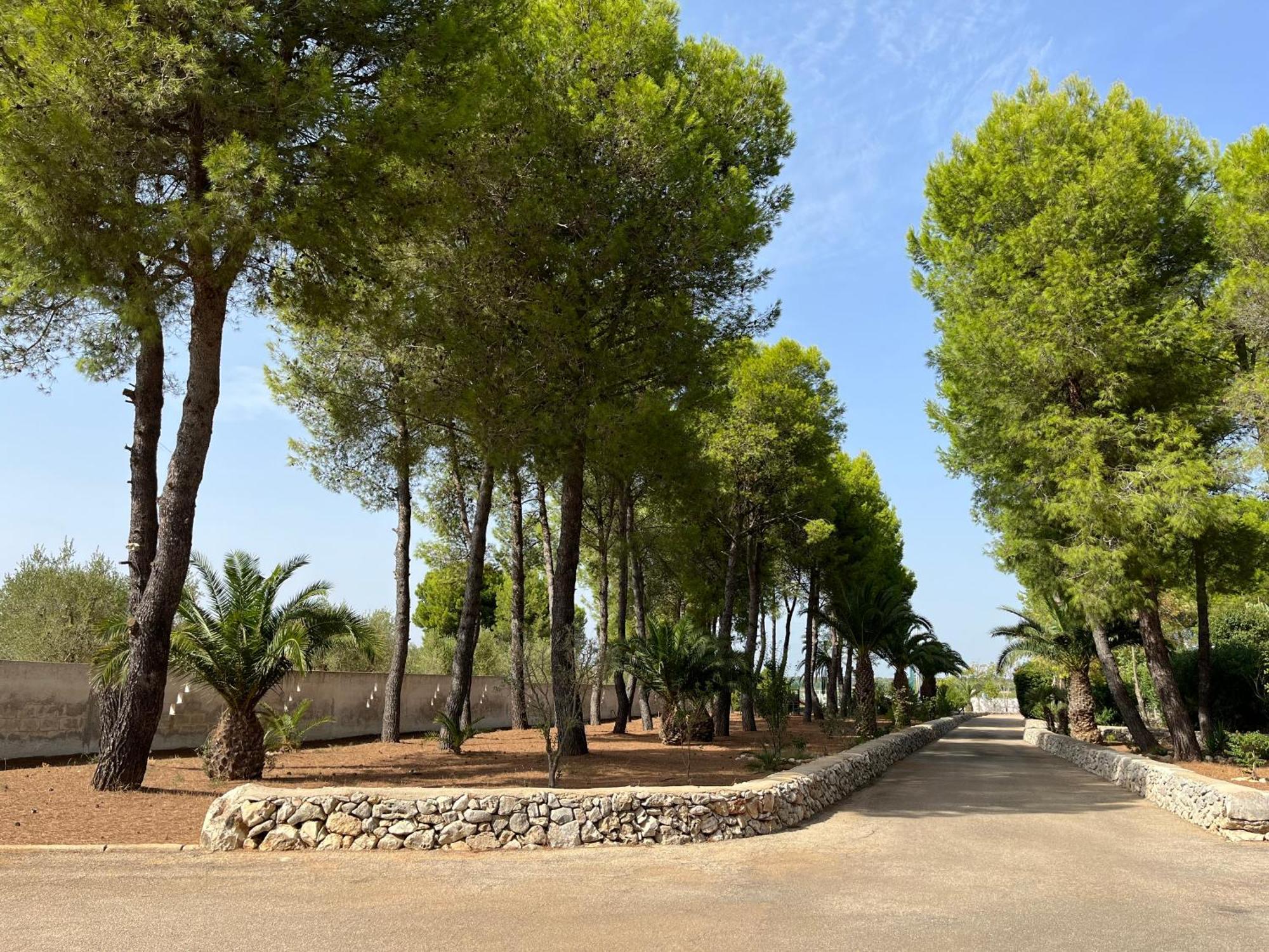 Casette Masseria La Camardia Sava ภายนอก รูปภาพ