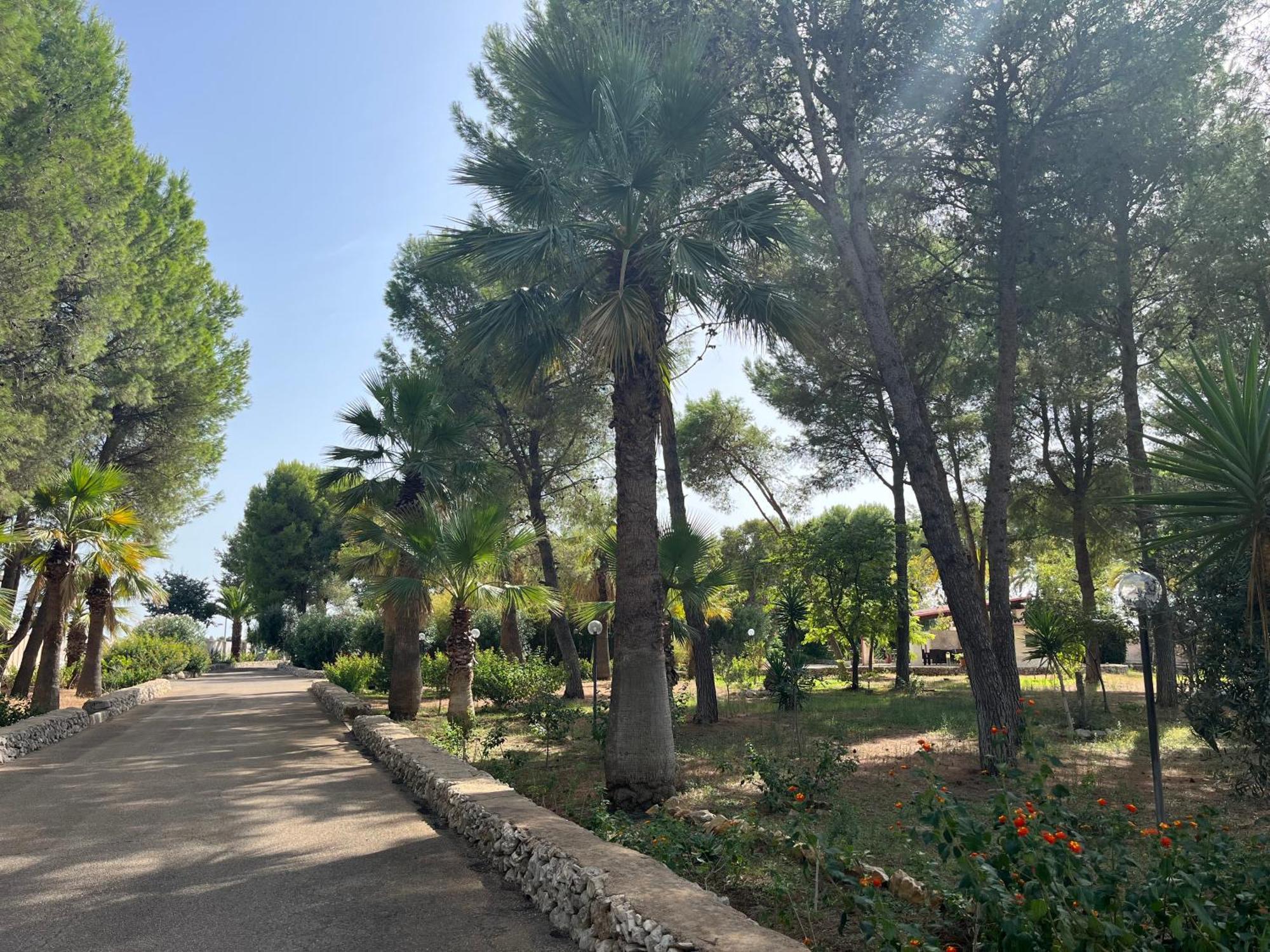 Casette Masseria La Camardia Sava ภายนอก รูปภาพ