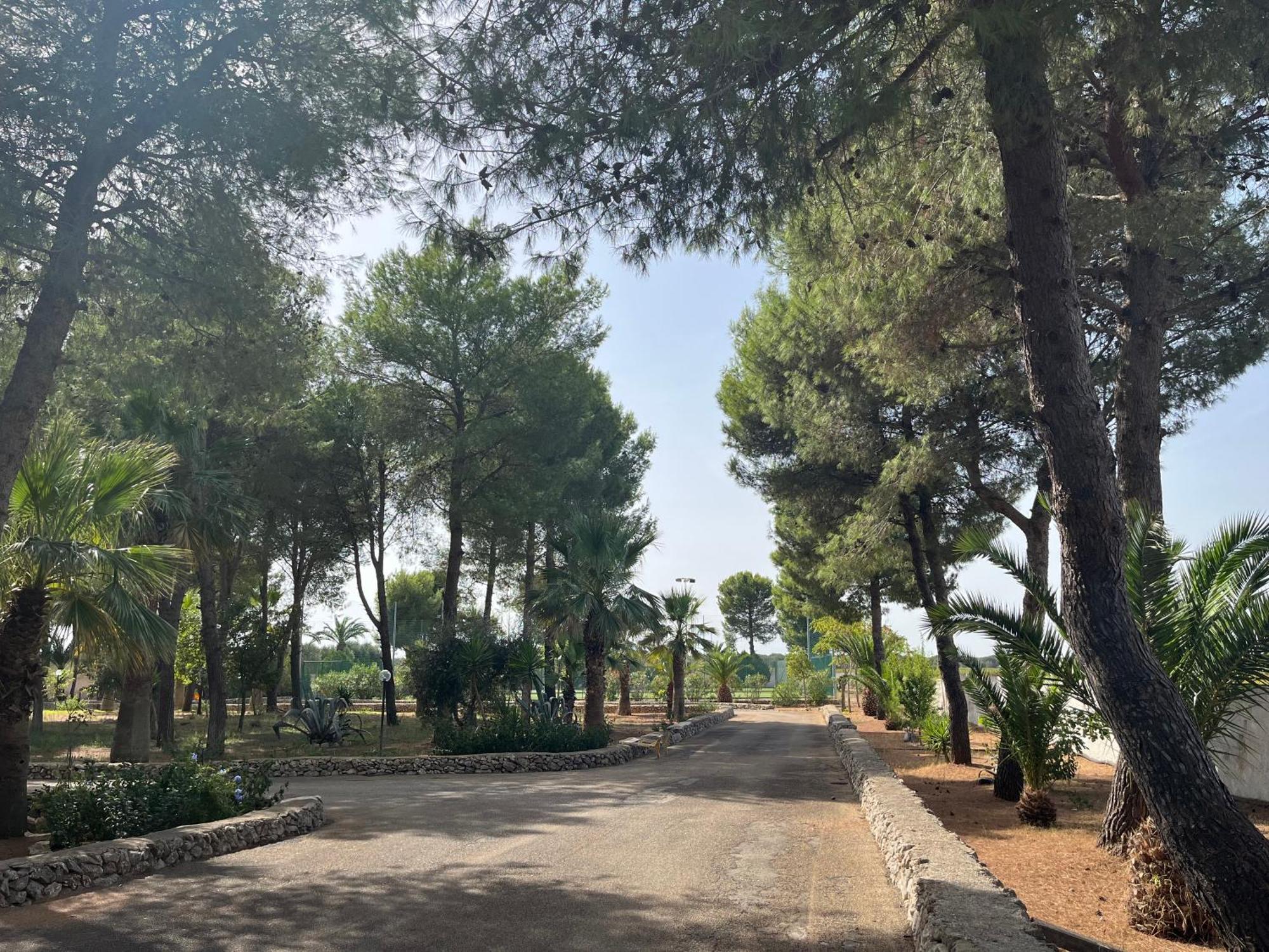 Casette Masseria La Camardia Sava ภายนอก รูปภาพ