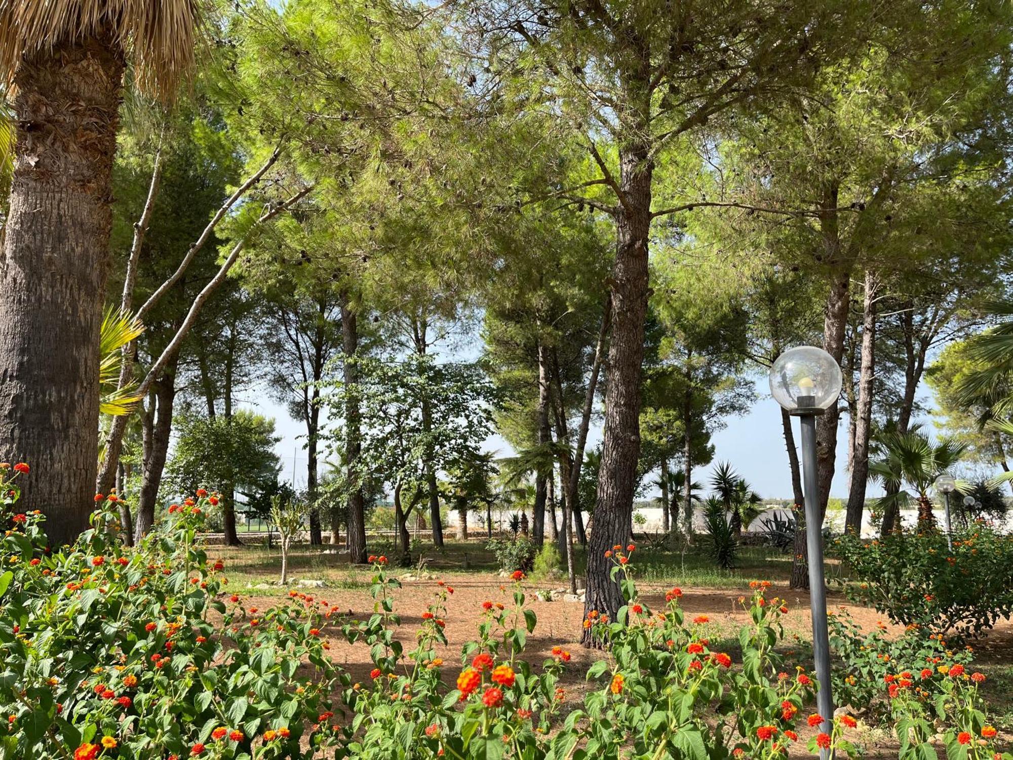 Casette Masseria La Camardia Sava ภายนอก รูปภาพ