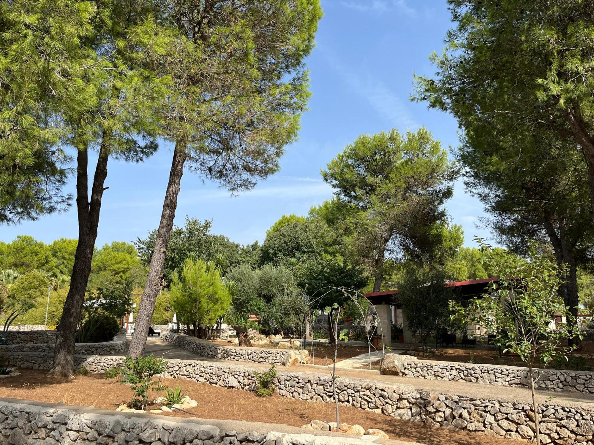 Casette Masseria La Camardia Sava ภายนอก รูปภาพ