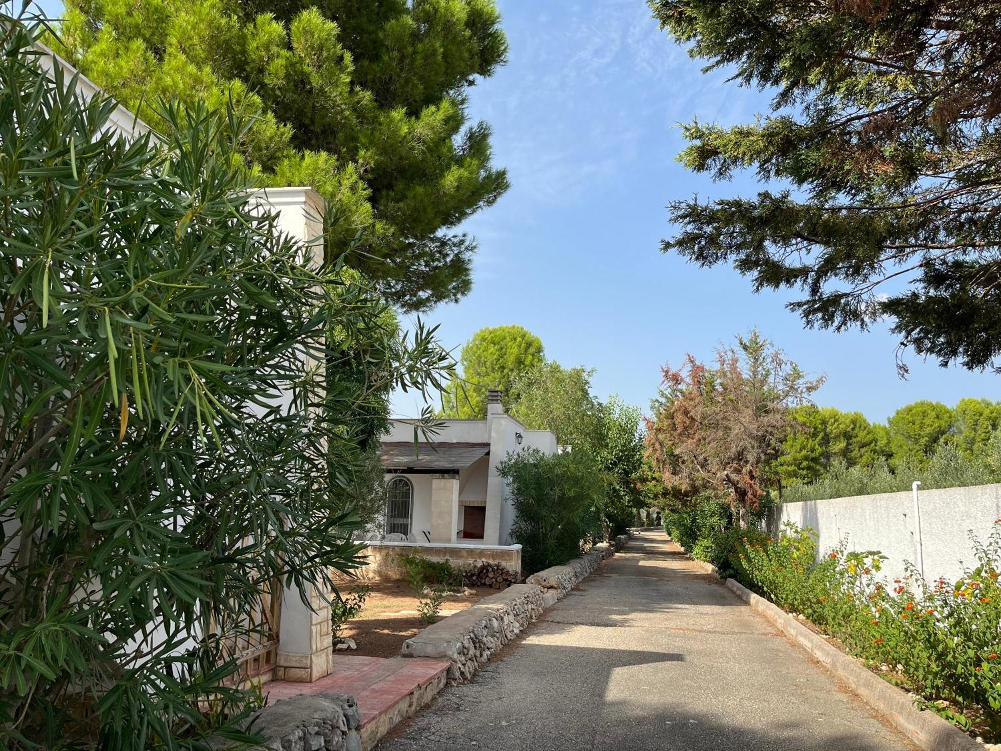 Casette Masseria La Camardia Sava ภายนอก รูปภาพ