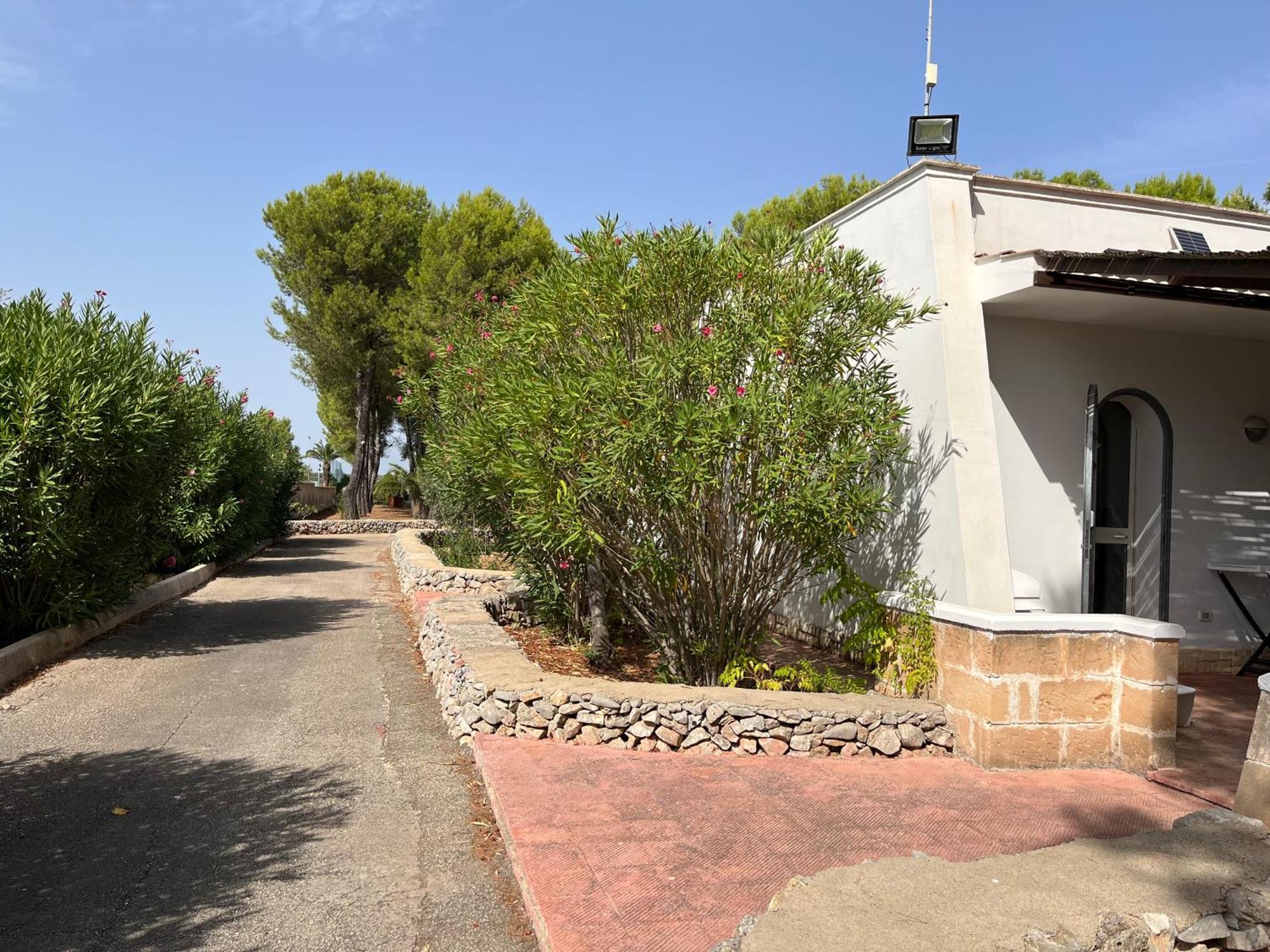 Casette Masseria La Camardia Sava ภายนอก รูปภาพ