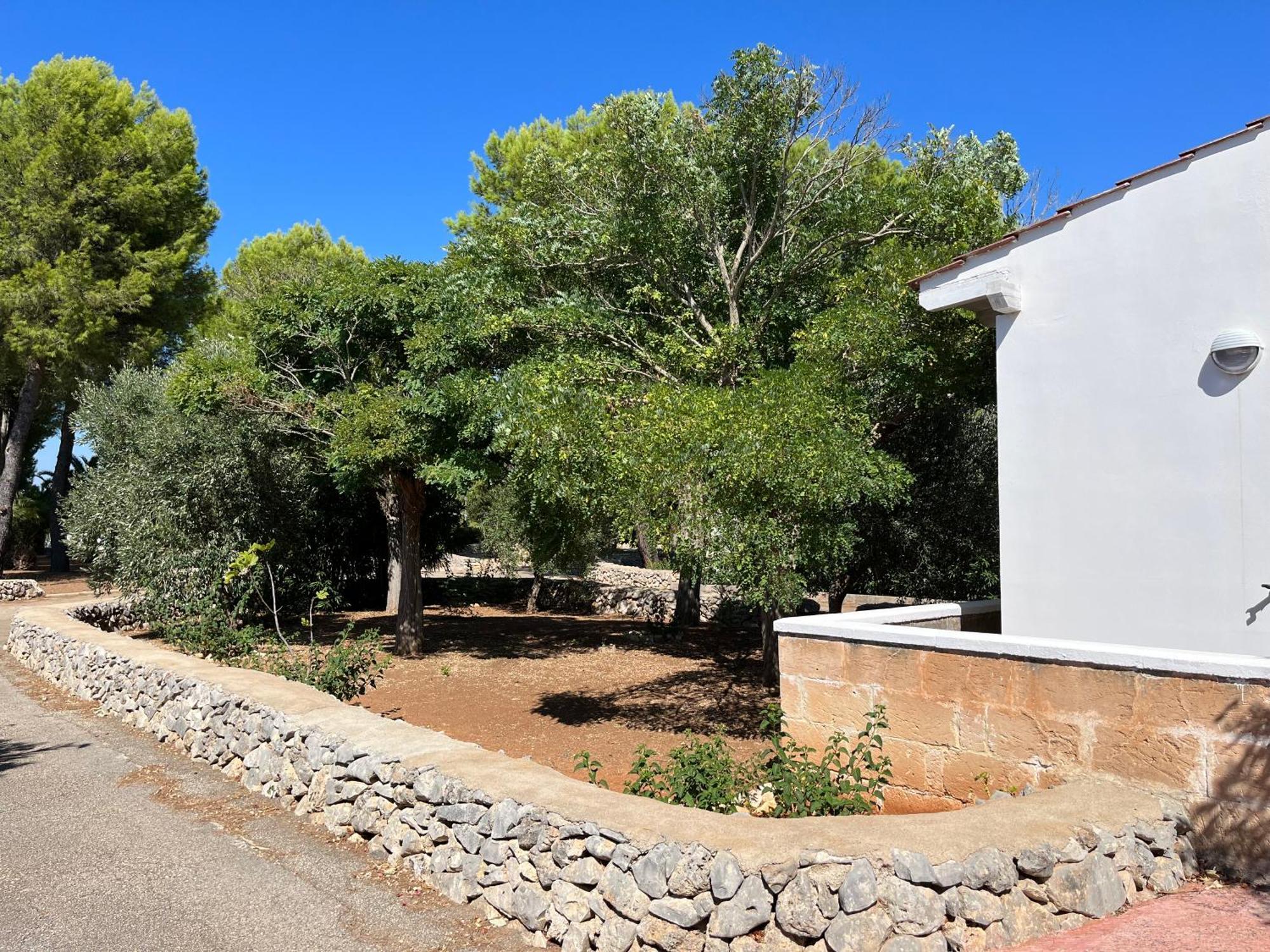 Casette Masseria La Camardia Sava ภายนอก รูปภาพ