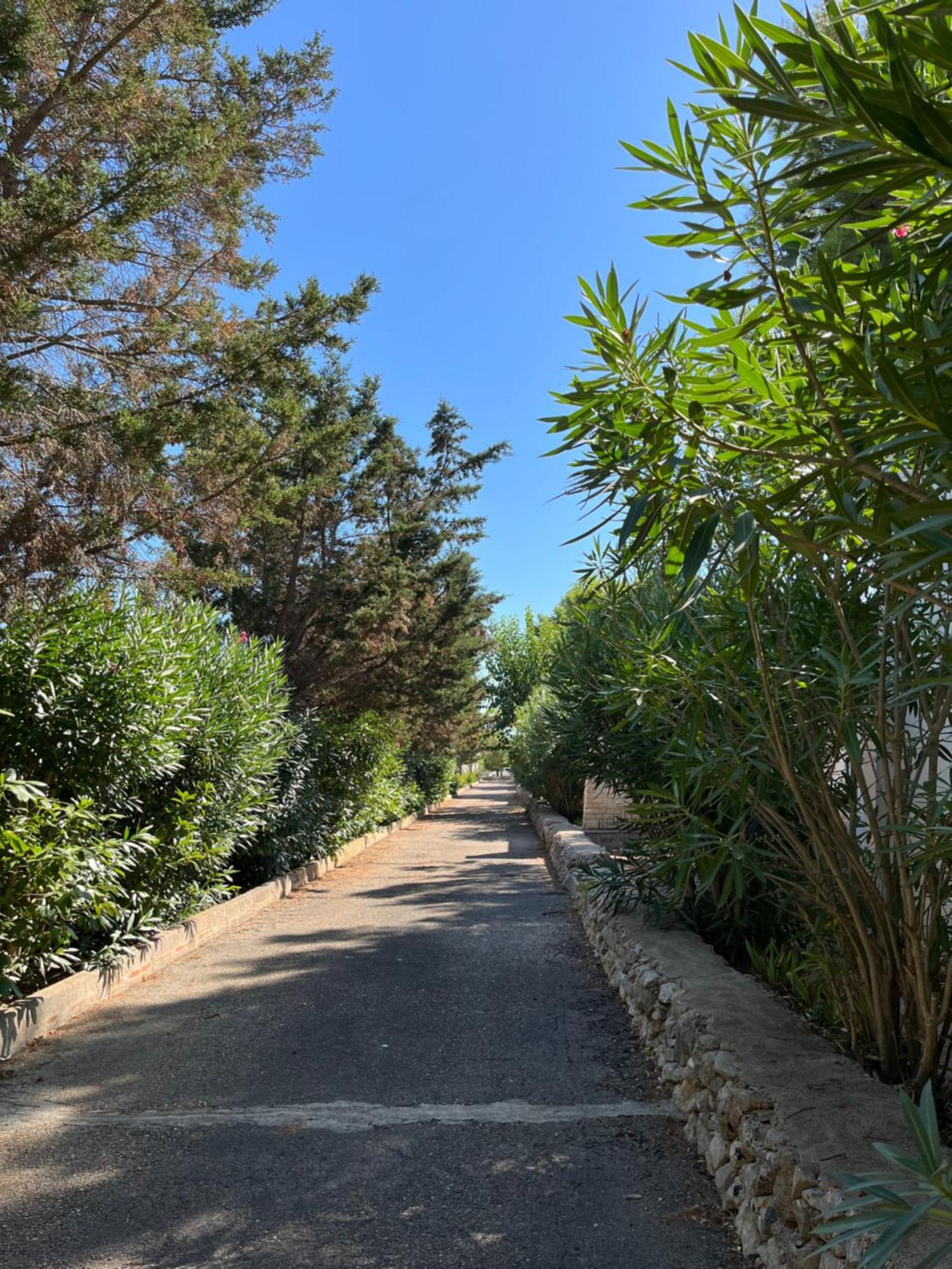 Casette Masseria La Camardia Sava ภายนอก รูปภาพ