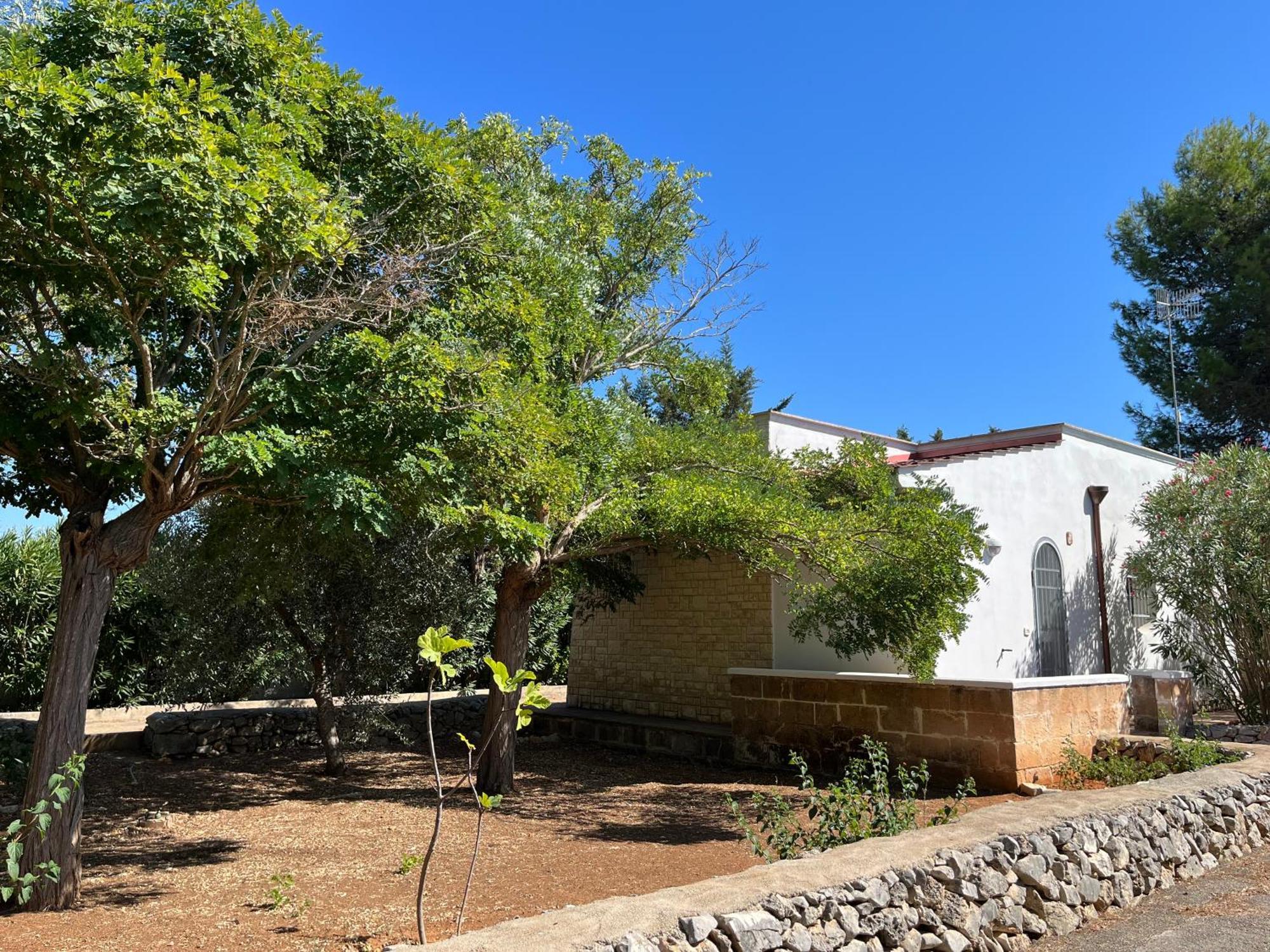 Casette Masseria La Camardia Sava ภายนอก รูปภาพ