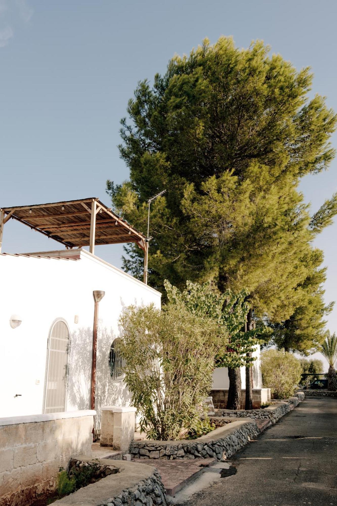 Casette Masseria La Camardia Sava ภายนอก รูปภาพ